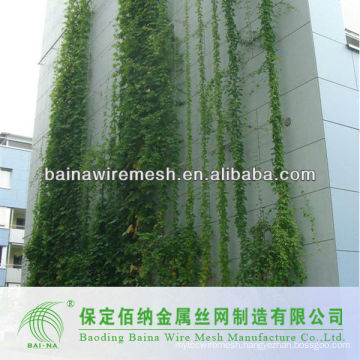 New Arrival Decorative Green Wall Cable Netting